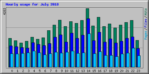 Hourly usage for July 2018