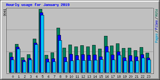 Hourly usage for January 2019