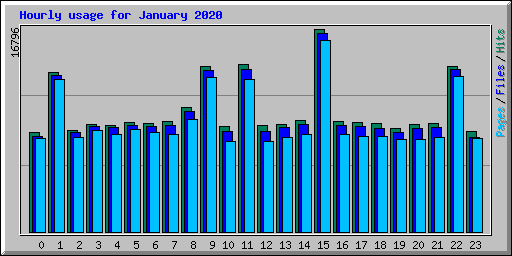 Hourly usage for January 2020